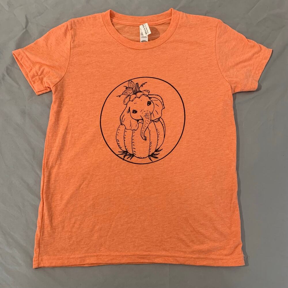 children’s Bella + Canvas Triblend t-shirt with a cute pumpkin elephant graphic.